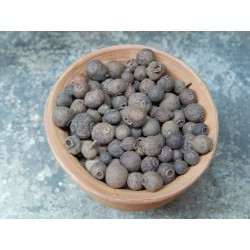Mexican pepper