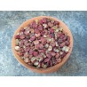 Sichuan pepper