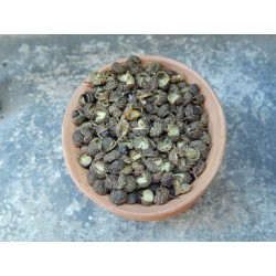 Green Sichuan pepper