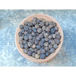 Sarawak black pepper