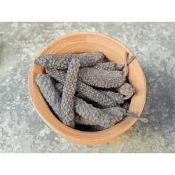 Java Long Pepper