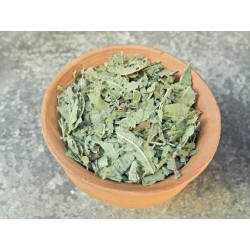 Verveine citronnée