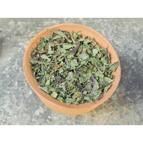 Menthe Poivrée