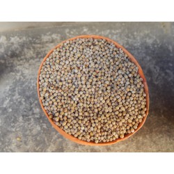 Long white seeded Kampot pepper