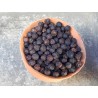 Kerala Black Gold pepper