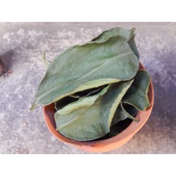Combawa leaf