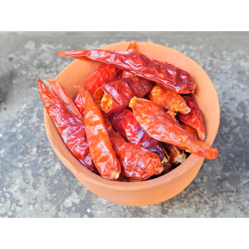 PIMENT OISEAU - BIRD CHILI