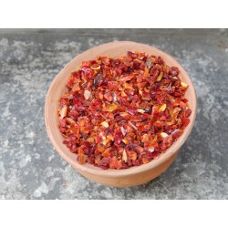 Rote Paprika