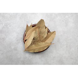 Laurier en feuilles