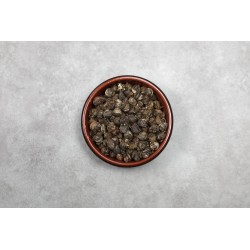 Perles du dragon