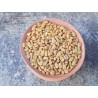 Fenugreek