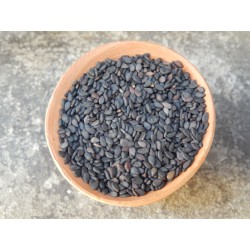 Black sesame